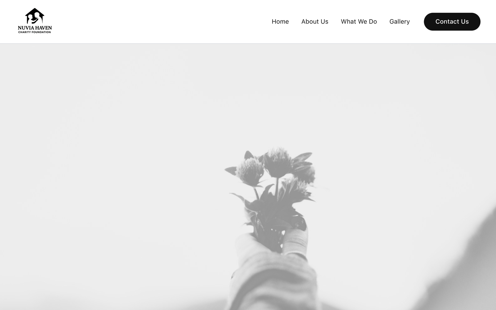 Nuvia Haven Foundation